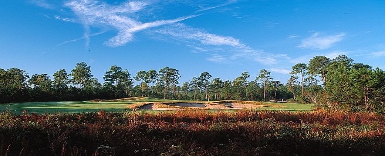 Parkland Golf Myrtle Reviews