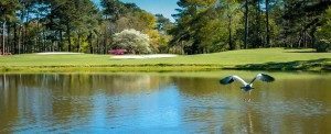 Sun Protection is Critical to Golfers