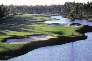 Tigers Eye Golf Reviews