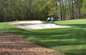 TPC Golf Course Myrtle Beach Reviews