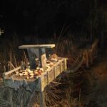 Joes Bar and Grill Myrtle Beach SC