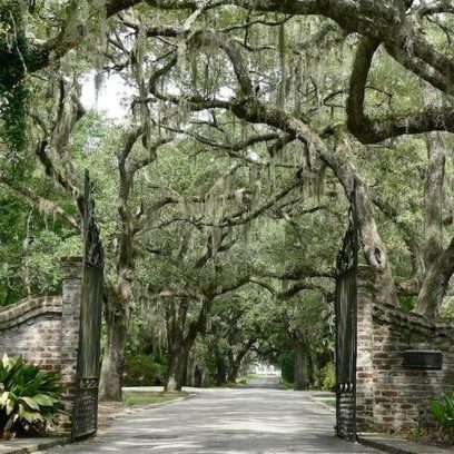 Litchfield Golf Plantation