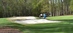 TPC Myrtle Golf Packages