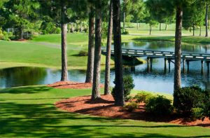 Sandpiper Golf Package Deals